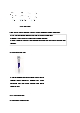 Plasmid DNA isolation from bacterial cell Miniprep 결과레포트 [A+]   (5 )